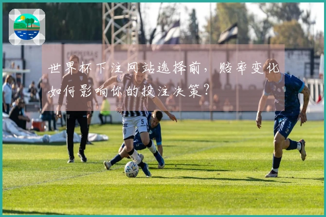 世界杯下注网站选择前，赔率变化如何影响你的投注决策？