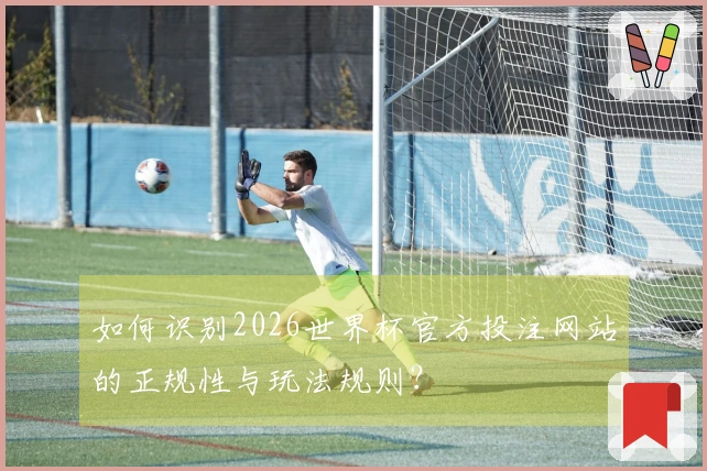 如何识别2026世界杯官方投注网站的正规性与玩法规则？