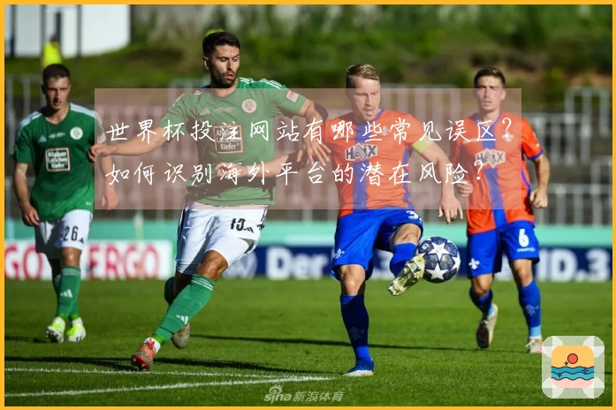 世界杯投注网站有哪些常见误区？如何识别海外平台的潜在风险？