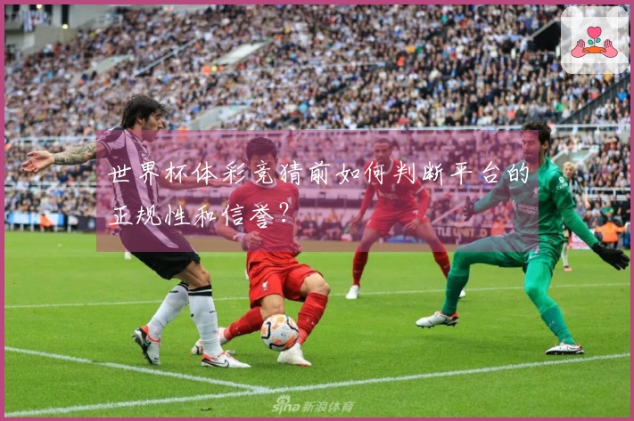 世界杯体彩竞猜前如何判断平台的正规性和信誉？