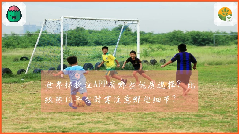 世界杯投注APP有哪些优质选择？比较热门平台时需注意哪些细节？