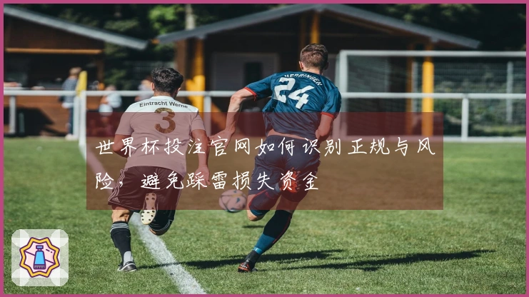 世界杯投注官网如何识别正规与风险，避免踩雷损失资金