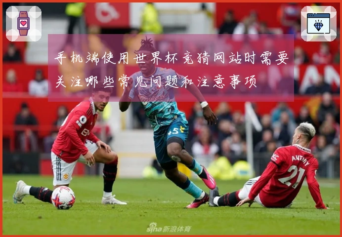 手机端使用世界杯竞猜网站时需要关注哪些常见问题和注意事项