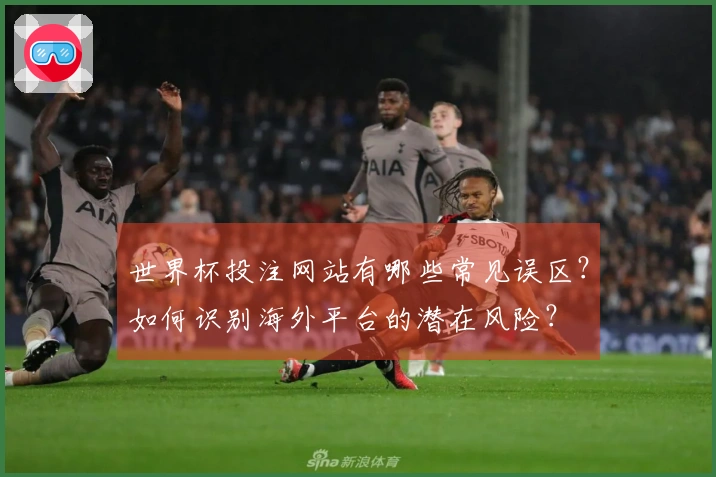 世界杯投注网站有哪些常见误区？如何识别海外平台的潜在风险？