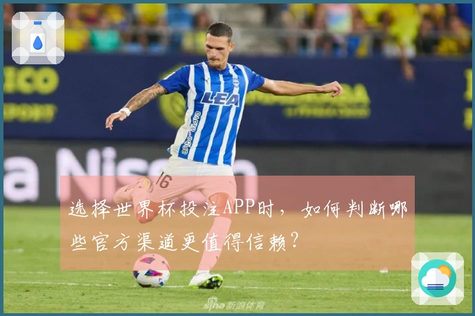 选择世界杯投注APP时，如何判断哪些官方渠道更值得信赖？