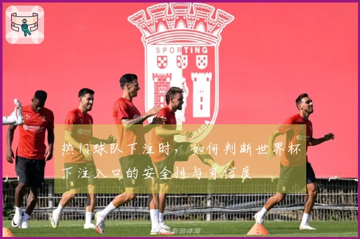 热门球队下注时，如何判断世界杯下注入口的安全性与可信度