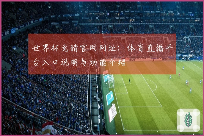 世界杯竞猜官网网址：体育直播平台入口说明与功能介绍
