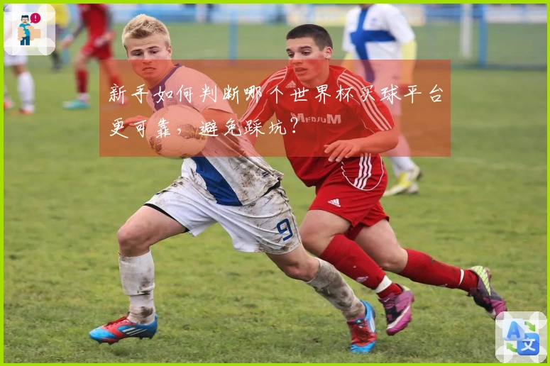新手如何判断哪个世界杯买球平台更可靠，避免踩坑？