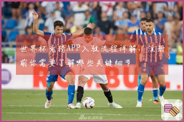 世界杯竞猜APP入驻流程详解，注册前你需要了解哪些关键细节