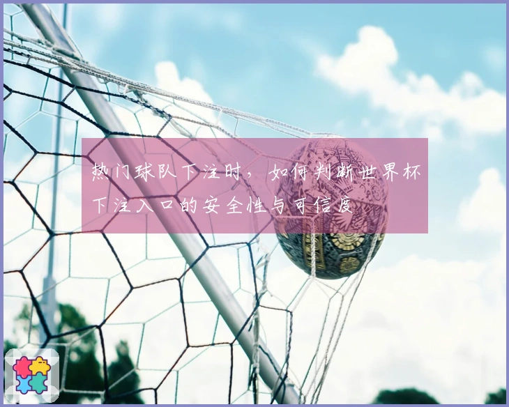 热门球队下注时，如何判断世界杯下注入口的安全性与可信度