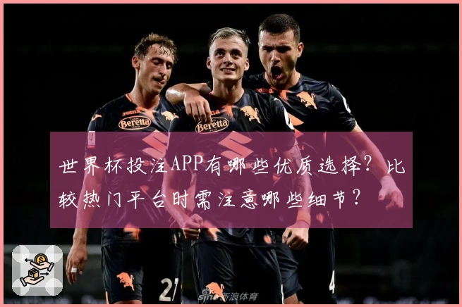 世界杯投注APP有哪些优质选择？比较热门平台时需注意哪些细节？