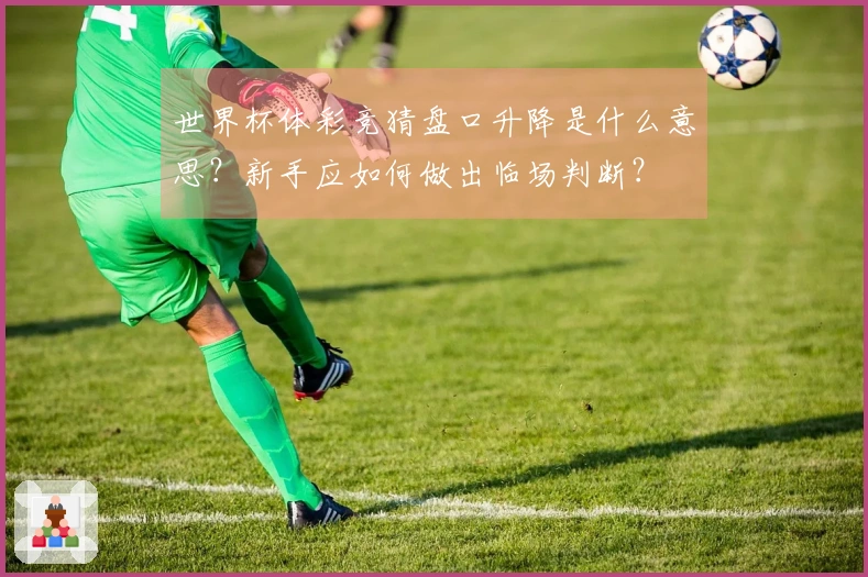 世界杯体彩竞猜盘口升降是什么意思？新手应如何做出临场判断？