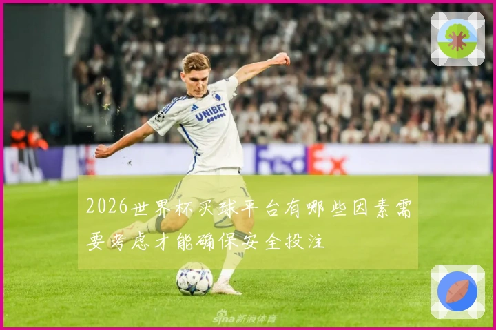 2026世界杯买球平台有哪些因素需要考虑才能确保安全投注