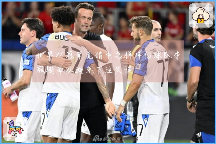 世界杯冠军竞猜中怎样评估球队夺冠概率以避免下注失误