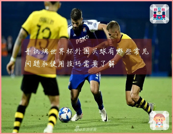 手机端世界杯外围买球有哪些常见问题和使用技巧需要了解