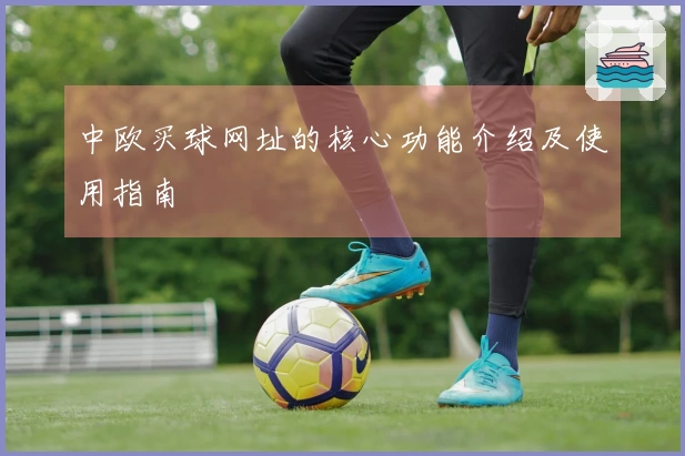 中欧买球网址的核心功能介绍及使用指南