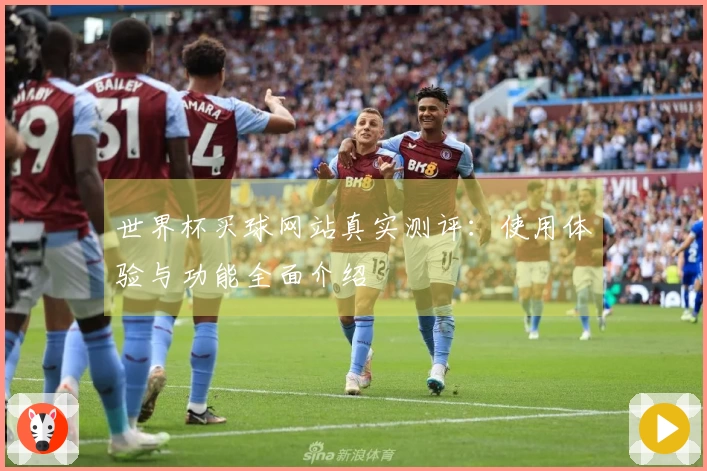世界杯买球网站真实测评：使用体验与功能全面介绍