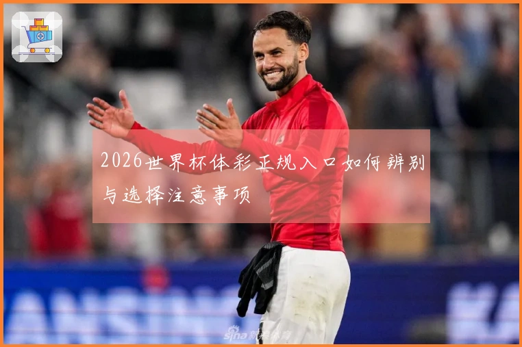 2026世界杯体彩正规入口如何辨别与选择注意事项