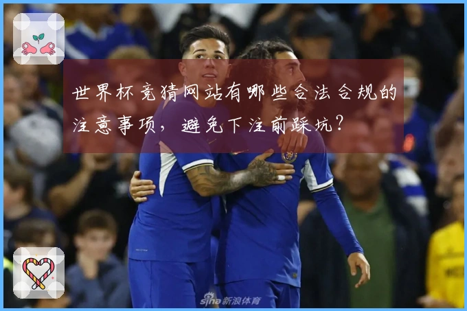 世界杯竞猜网站有哪些合法合规的注意事项，避免下注前踩坑？