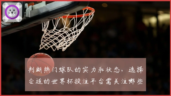 判断热门球队的实力和状态，选择合适的世界杯投注平台需关注哪些关键因素