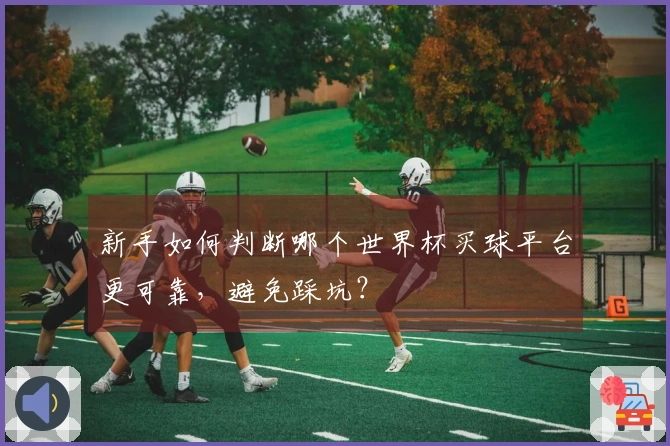 新手如何判断哪个世界杯买球平台更可靠，避免踩坑？