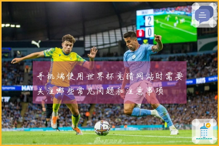 手机端使用世界杯竞猜网站时需要关注哪些常见问题和注意事项